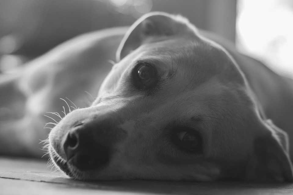20130727-DSC01952.jpg