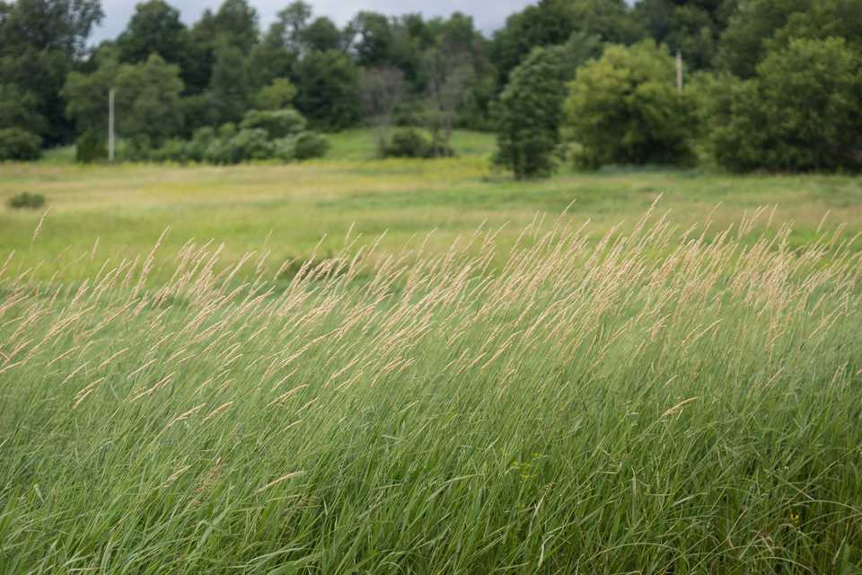 20130720-DSC01937.jpg