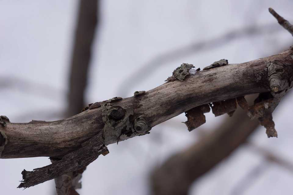 20121226-untitled-00216.jpg